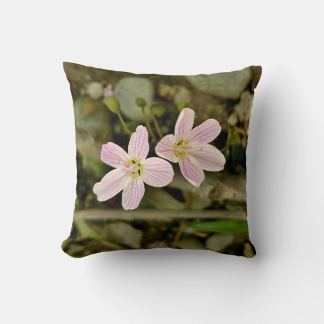 Almofada Oakwoods Metropark SpringBeauty (Frente)