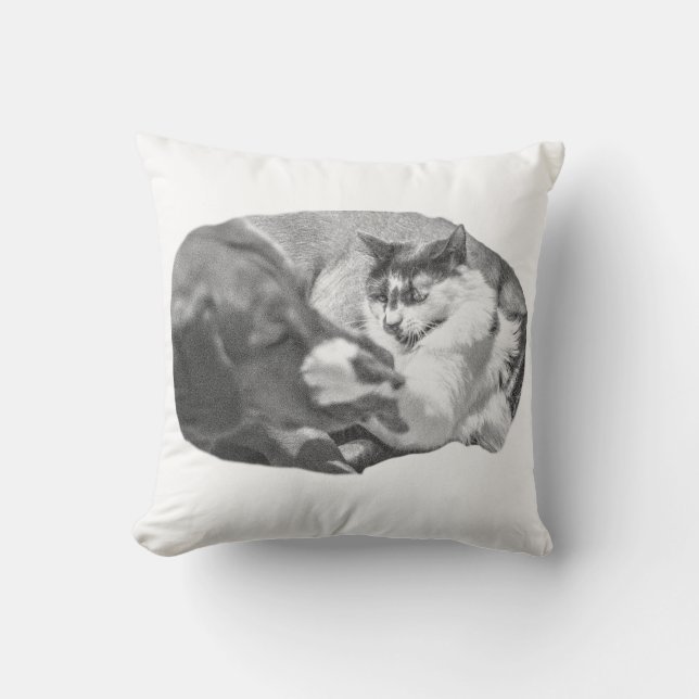 Almofada Observadores Lantern-Lit (Frente)