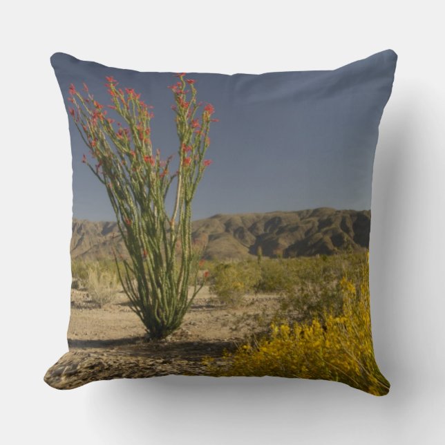 Almofada Ocotillo e senna do deserto (Frente)