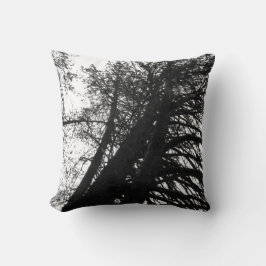 Almofada olhar para cima nas árvores