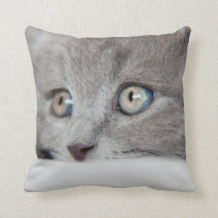 Almofada Olhos de gato