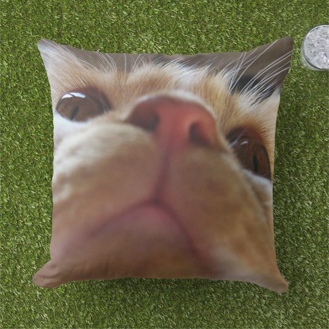 Almofada Olhos De Macro De Gato Engraçado (Grama)