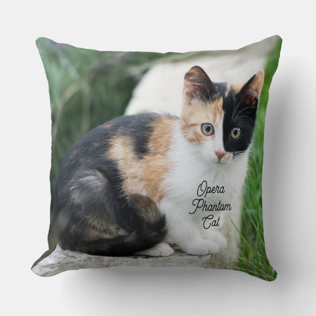 Almofada Ópera - Fantasma (Frente)