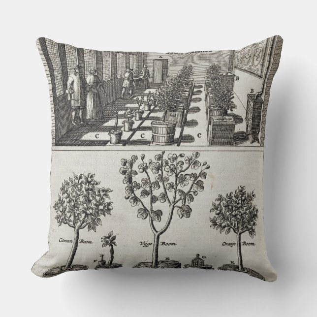 Almofada Orangery, de "De Nederlandze Hesperides" daqui até (Frente)