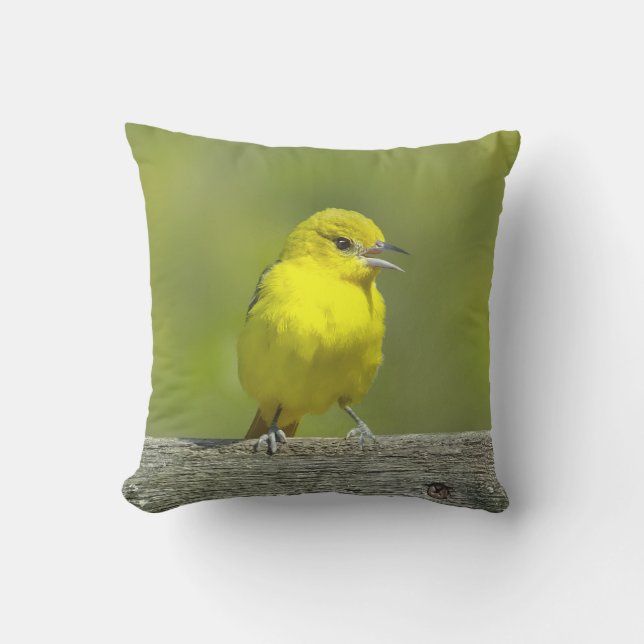 Almofada Orchard Oriole - Fotografia original (Frente)
