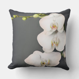 Almofada Orchidaceae (orquídeas brancas)