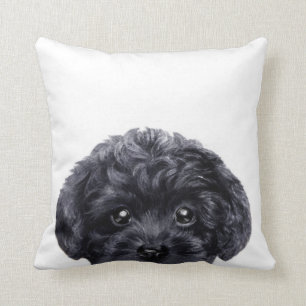 Almofada Original preto da caniche de brinquedo pelo miart