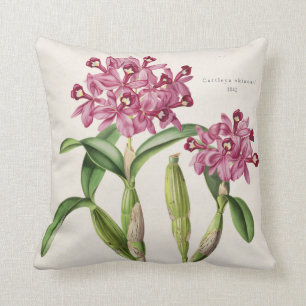 Almofada Orquídea 1842 botânico do skinneri de Cattleya p
