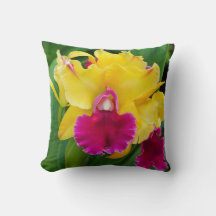 Orquídea exótica em cor amarela e rosa quente