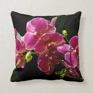 Almofada Orquídeas magenta em sangue