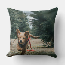 "Os Dias dos Cachorros Sonhando"