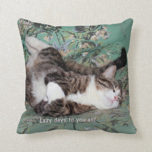 Almofada Os dias preguiçosos do gatinho