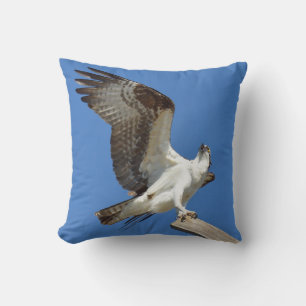 Almofada Osprey Hawk estendendo as asas Travesseiro