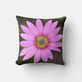 Almofada Osteospermum Cushion