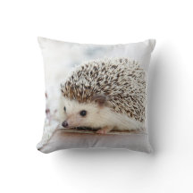 Ouriço bonito do bebê