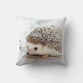 Almofada Ouriço bonito do bebê