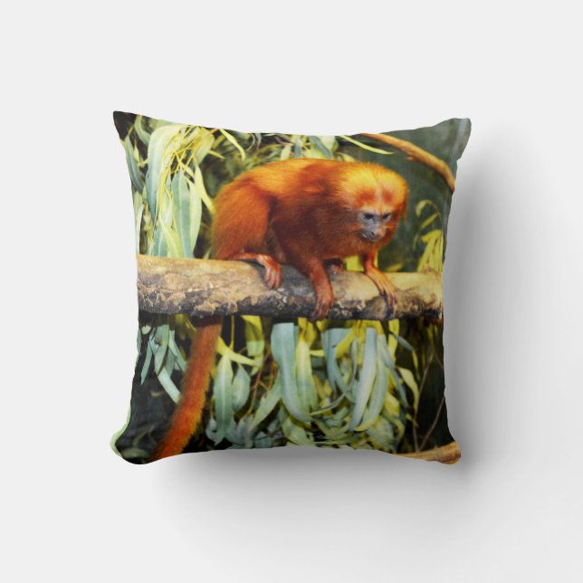 Almofada Ouro Lion Tamarin Whats, Cushion (Frente)