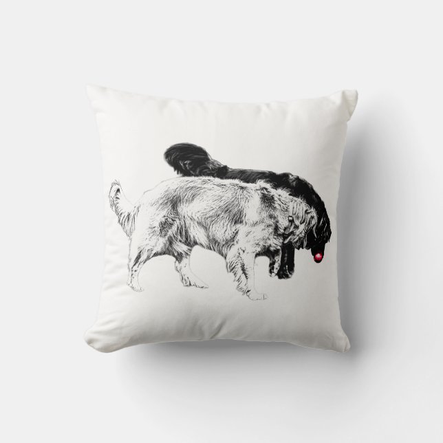 Almofada Outubro Lantern Chase (Frente)