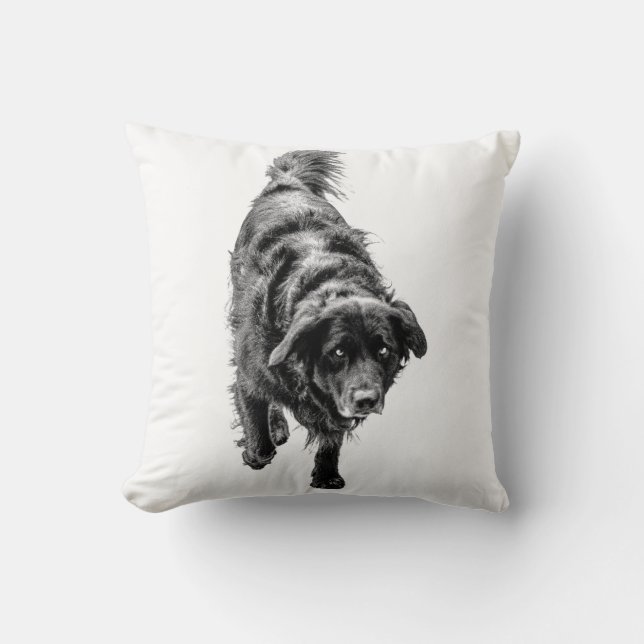 Almofada Outubro Night Watch (Frente)