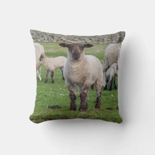 Almofada Ovelha Shetland