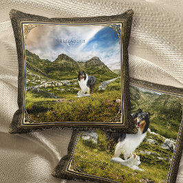Almofada Ovelhas Herdando Tricolor Rough Collie em Highland