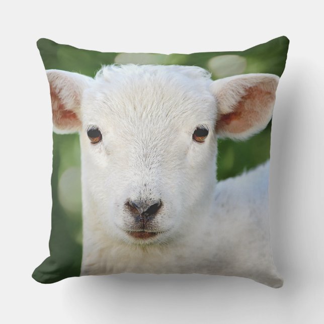 Almofada Ovinos Bebês Adoráveis (Frente)