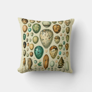 Almofada Ovos de Pássaros Antigos Arte de Ovos de Peixe Fra