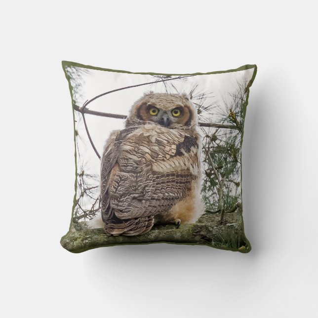 Almofada Owlet Em Uma Ramificação De Pino (Frente)