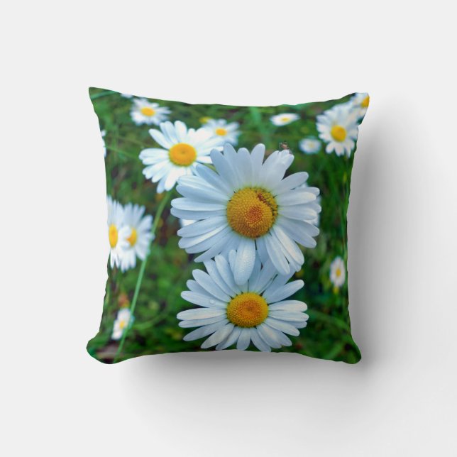 Almofada Ox-Eye Daisies Joga Cushion (Frente)