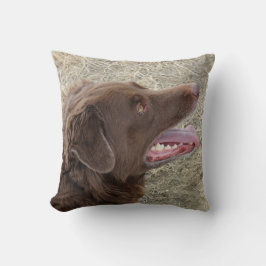 Almofada P4 Flatlandersam