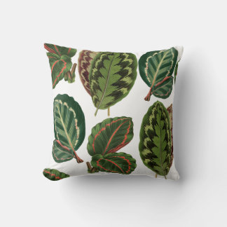 Almofada Padrão das plantas da selva urbana