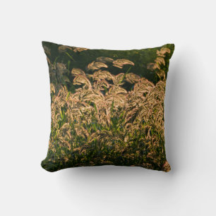 Almofada Painço Selvagem (Panicum Sp.) Crescendo em Área Úm