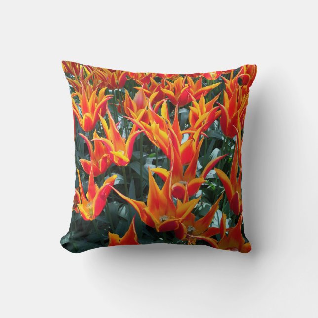 Almofada Países Baixos Tulips Keukenhof Travesseiro Europa (Frente)