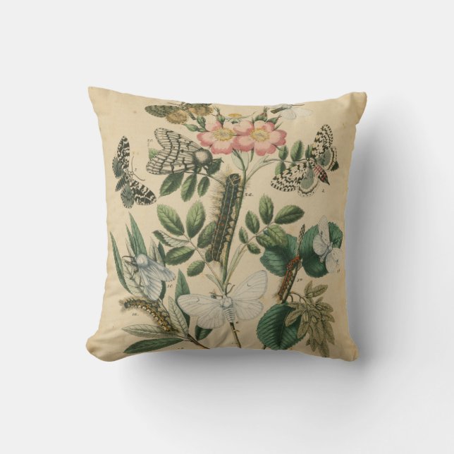 Almofada Palcos da vida da borboleta pelo Vision Studio (Frente)