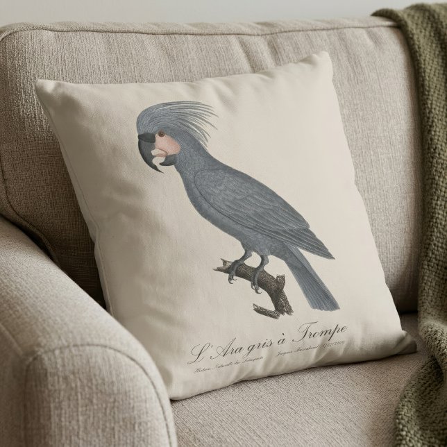 Almofada Palmito-preto, Probosciger aterrimus (Great Black Palm Cockatoo, Probosciger aterrimus. Throw Pillow)