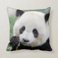 Panda, gigante da fotografia do travesseiro 1.