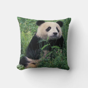 Almofada Panda gigante na grama, Vale de Wolong, Sichuan