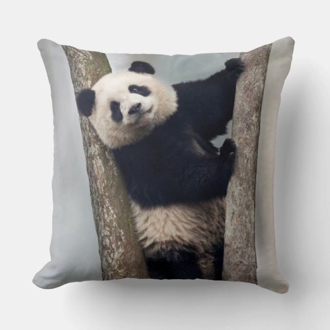 Almofada Panda jovem subindo em uma árvore, China (Frente)