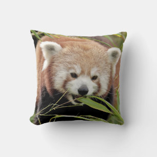 Almofada Panda vermelha da foto do travesseiro.