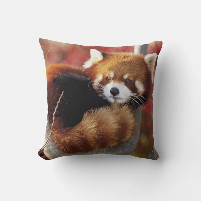 Almofada Panda Vermelha em um Travesseiro decorativo de Árv (Frente)