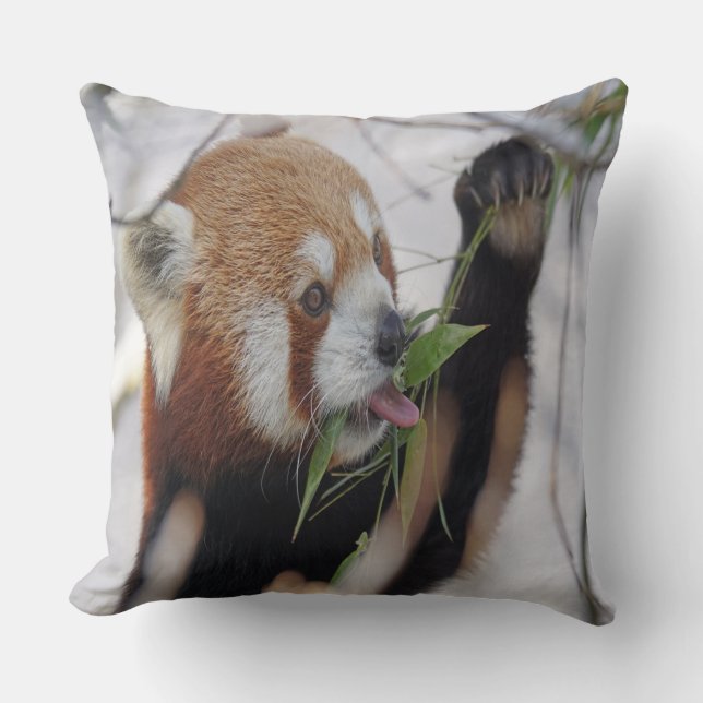 Almofada Panda Vermelho Faminto (Frente)