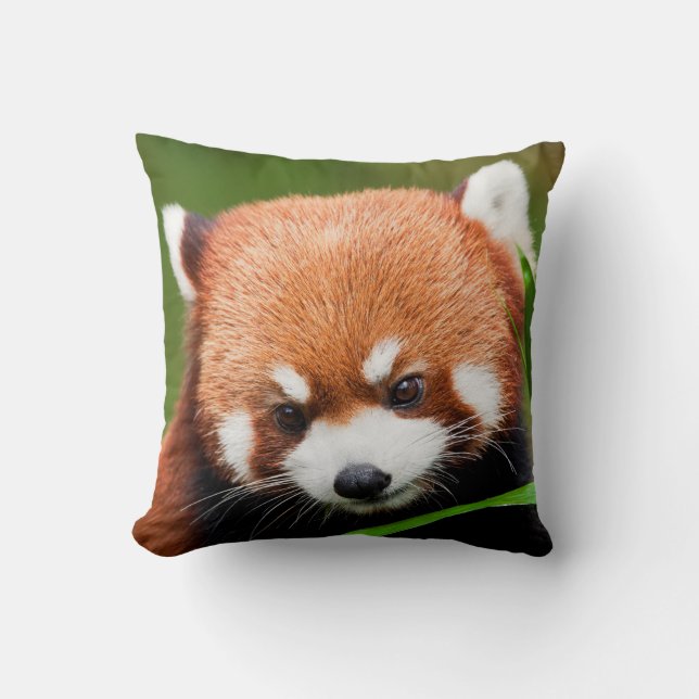 Almofada Panda Vermelho Fofo (Frente)