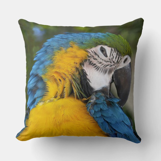 Almofada Papagaio Azul E Dourado (Frente)