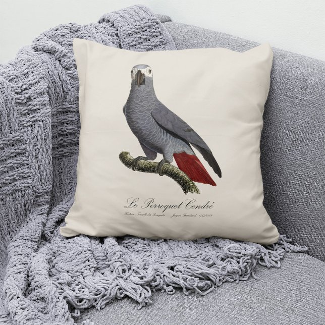 Almofada Papagaio cinzento africano, Psittacus erithacus, v (Le Perroquet Cendre - 19th century illustration. Throw Pillow)