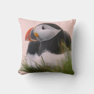 Almofada Papagaio-do-mar (Fratercula arctica)
