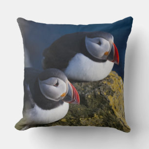 Almofada Papagaio-do-mar (Fratercula arctica) 7