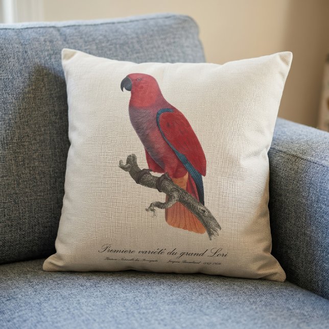 Almofada Papagaio Eclectus de Vosmaer, Eclectus Roratus Vos (Vosmaer Eclectus Parrot, Eclectus Roratus Vosmaeri. Throw Pillow )