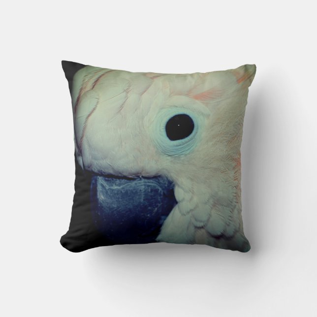 Almofada Papagaio Moluco Rosa Fechar  (Frente)