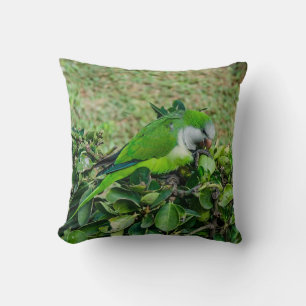 Almofada Papagaio verde