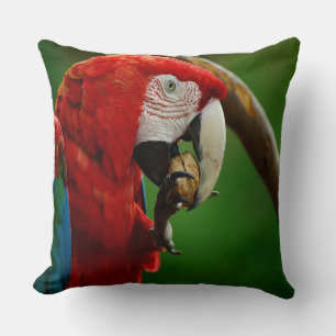 Almofada Papagaio Vermelho Tropical